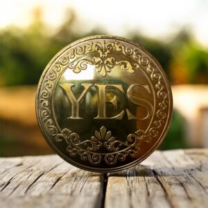 YES / NO Intuitionsmønt